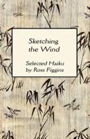 Sketching the Wind