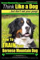 Bernese Mountain Dog, Bernese Mountain Dog Training AAA AKC Think Like a Dog But Don't Eat Your Poop!