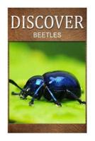 Beetles - Discover
