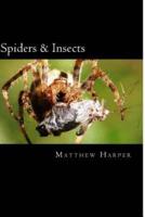 Spiders & Insects