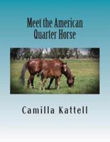 Meet the American Quarter Horse
