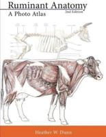 Ruminant Anatomy