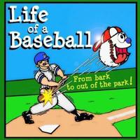 Life of a Baseball