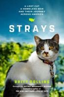 Strays