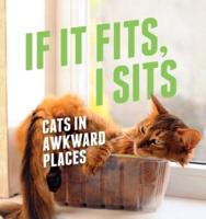 If It Fits, I Sits