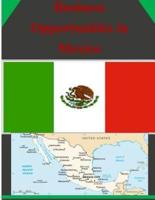 Business Opportunities in Mexico