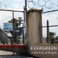 Evergreen in the City of Angels