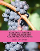 Vineyard - Grapes, Stems, & Leaves in Color Photographs