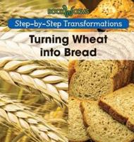 Turning Wheat Into Bread