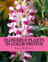 Flowers & Plants in Color Photos