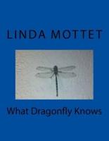 What Dragonfly Knows