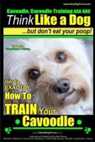 Cavoodle, Cavoodle Training AAA AKC