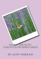 Jasper the Ruby Throated Hummingbird
