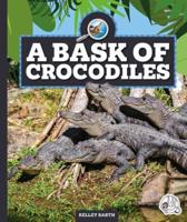 A Bask of Crocodiles