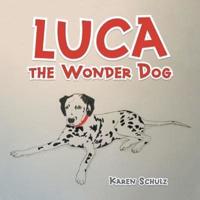 Luca the Wonder Dog