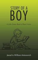 Story of a Boy: A Little Green Book of Real Fiction