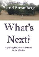 What's Next?: Exploring the Journey of Souls in the Afterlife