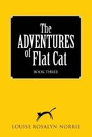The ADVENTURES of Flat Cat: BOOK THREE