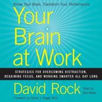 Your Brain at Work Lib/E