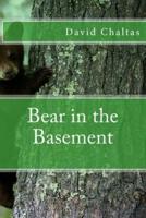 Bear in the Basement