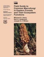 Field Guide to Common Macrofungi in Eastern Forests and Their Ecosystem Functions