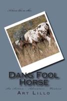 Dang Fool Horse