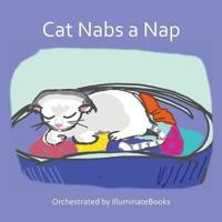 Cat Nabs a Nap