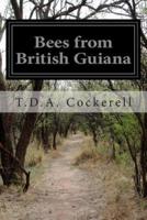 Bees from British Guiana