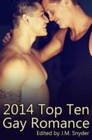 2014 Top Ten Gay Romance