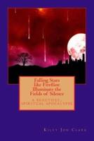 Falling Stars like Fireflies: Illuminate the Fields of Silence: a beautiful, spiritual apocalypse