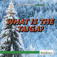 What Is the Taiga?