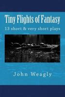 Tiny Flights of Fantasy