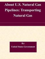 About U.S. Natural Gas Pipelines