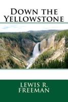 Down the Yellowstone