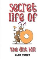 Secret Lives of The Ant Hill