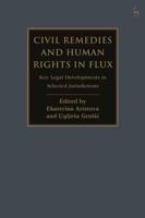 Civil Remedies and Human Rights in Flux