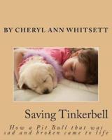 Saving Tinkerbelle