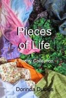 Pieces of Life