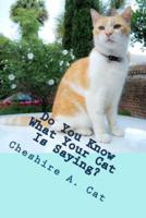 Do You Know What Your Cat Is Saying?