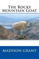 The Rocky Mountain Goat