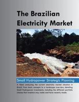 The Brazilian Electricity Market