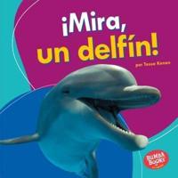 ãMira, Un Delfín!