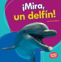 ¡Mira, Un Delfín! (Look, a Dolphin!)