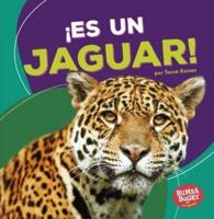 ¡Es Un Jaguar! (It's a Jaguar!)