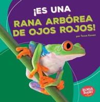 ¡Es Una Rana Arbórea De Ojos Rojos! (It's a Red-Eyed Tree Frog!)