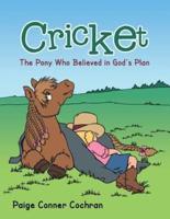 Cricket: The Pony Who Believed in God's Plan