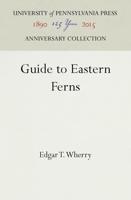Guide to Eastern Ferns