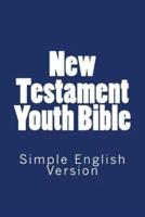 New Testament Youth Bible
