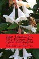 Best Plants On The Planet For Apis Mellifera