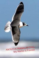 About a Franklin Gull